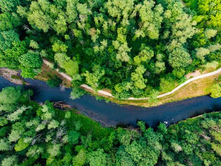 Aerial top down view of summer forest with narrow Vilnele river winding among the trees. Beautiful woods scenery near Vilnius city, Lithuaniaの写真素材