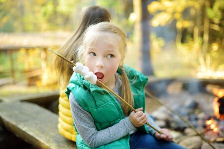 Cute young sisters roasting marshmallows on stick at bonfire. Children having fun at camp fire. Camping with children in fall forest. Family leisure with kids at autumn.の写真素材
