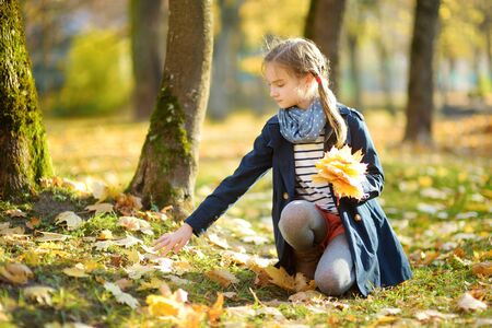 Adorable young girl having fun on beautiful autumn day. Happy child playing in autumn park. Kid gathering yellow fall foliage. Autumn activities for children.の写真素材