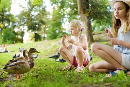 Two cute little sisters feeding birds on summer day. Children feeding pigeons and ducks outdoors. Active leisure with kidsの写真素材