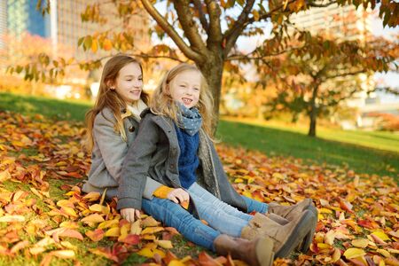 Two cute young sisters having fun on beautiful autumn day. Happy children playing in autumn park....