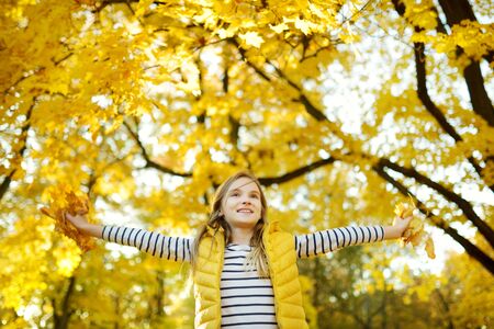 Adorable young girl having fun on beautiful autumn day. Happy child playing in autumn park. Kid...