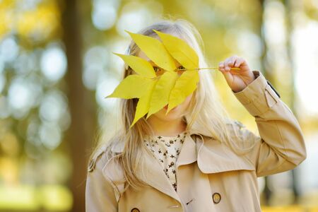 Adorable young girl having fun on beautiful autumn day. Happy child playing in autumn park. Kid gathering yellow fall foliage. Autumn activities for children.の写真素材