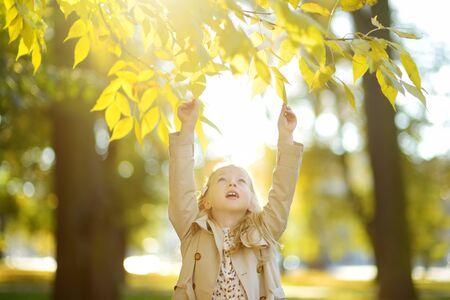 Adorable young girl having fun on beautiful autumn day. Happy child playing in autumn park. Kid gathering yellow fall foliage. Autumn activities for children.の写真素材