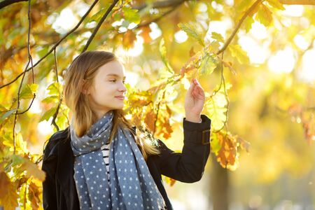 Adorable young girl having fun on beautiful autumn day. Happy child playing in autumn park. Kid gathering yellow fall foliage. Autumn activities for children.の写真素材