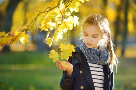 Adorable young girl having fun on beautiful autumn day. Happy child playing in autumn park. Kid gathering yellow fall foliage. Autumn activities for children.の写真素材