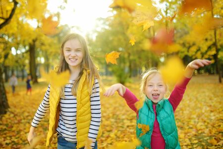 Two cute young sisters having fun on beautiful autumn day. Happy children playing in autumn park. Kids gathering yellow fall foliage. Autumn activities for children.の写真素材