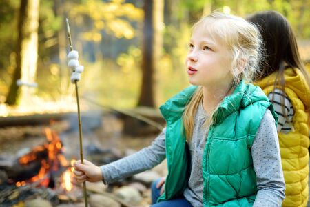 Cute young sisters roasting marshmallows on stick at bonfire. Children having fun at camp fire. Camping with children in fall forest. Family leisure with kids at autumn.の写真素材