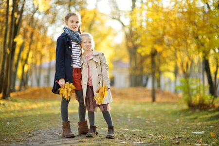 Two cute young sisters having fun on beautiful autumn day. Happy children playing in autumn park. Kids gathering yellow fall foliage. Autumn activities for children.の写真素材