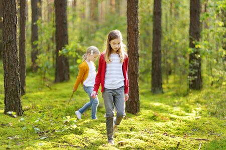 Two cute young sisters having fun during forest hike on beautiful summer day. Children exploring nature. Active family leisure with kids. Family fun.の写真素材