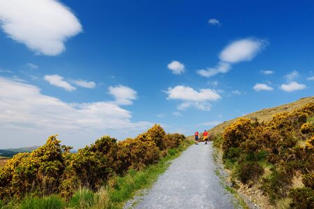 Beautiful view of Connemara National Park, famous for bogs and heaths, watched over by its...