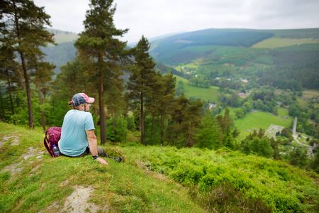 Male tourist exploring the woodlands of Wicklow Mountains National Park. Old pine trees and lush...