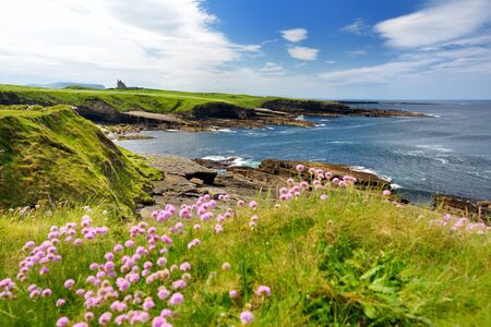 Spectacular view of Mullaghmore Head with huge waves rolling ashore. Picturesque scenery with magnificent Classiebawn Castle. Signature point of the Wild Atlantic Way, County Sligo, Irelandの写真素材