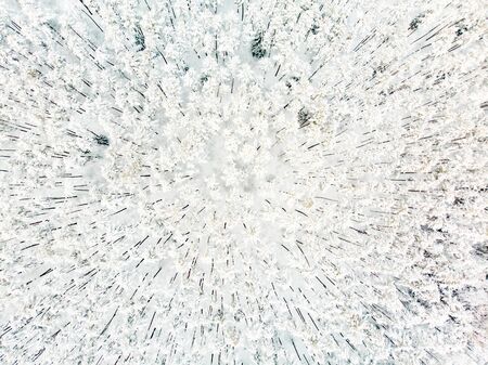 Beautiful aerial view of snow covered pine forests. Rime ice and hoar frost covering trees. Scenic winter landscape near Vilnius, Lithuania.の写真素材