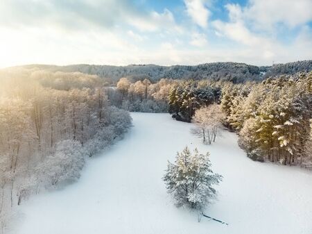 Beautiful aerial view of snow covered pine forests. Rime ice and hoar frost covering trees. Scenic winter landscape near Vilnius, Lithuania.の写真素材