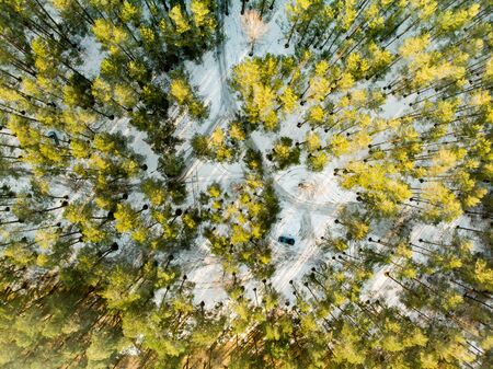 Beautiful aerial view of snow covered pine forests. Rime ice and hoar frost covering trees. Scenic...