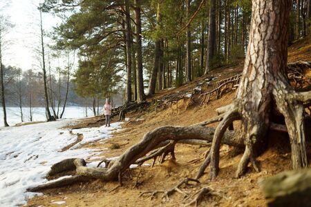 Cute young girl having fun during forest hike on beautiful winter day. Active family leisure with kids. Family fun.の写真素材