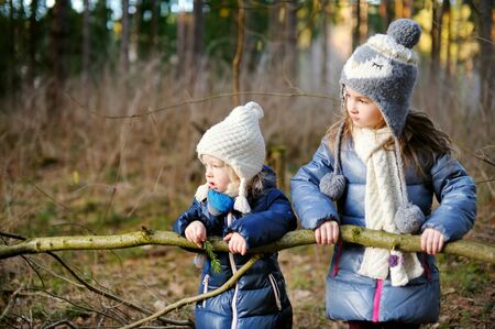 Cute little girls having fun during forest hike on beautiful spring day. Children exploring wild nature. Active family leisure with kids.の写真素材
