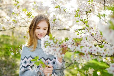 Adorable young girl in blooming cherry tree garden on beautiful spring day. Cute child picking fresh...