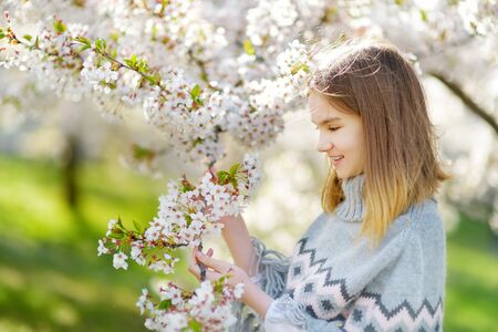 Adorable young girl in blooming cherry tree garden on beautiful spring day. Cute child picking fresh...