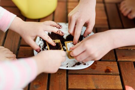 Close-up of children's hands planting flowers and vegetables in small biodegradable seedling pots. Children helping with spring chores. Kids exploring nature.の写真素材
