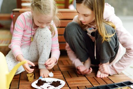 Two cute young sisters planting flowers and vegetables in small biodegradable seedling pots. Children helping with spring chores. Kids exploring nature.の写真素材