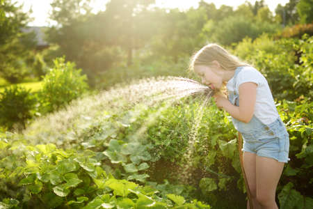 Cute young girl watering flower beds in the garden at summer day. Child using garden hose on sunny day. Kid helping with everyday chores. Mommys little helper.の写真素材