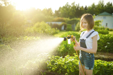 Cute young girl watering flower beds in the garden at summer day. Child using garden hose on sunny day. Kid helping with everyday chores. Mommys little helper.の写真素材