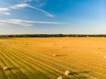 Aerial view of agricultural parcels of different crops. Hay bale fields and farmlands of Lithuania....