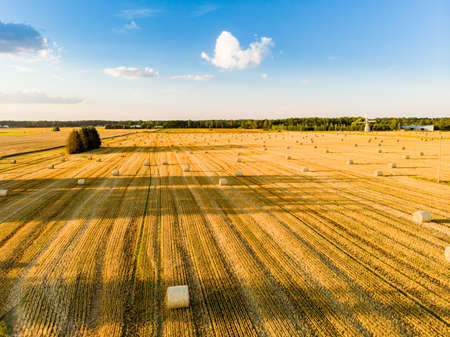 Aerial view of agricultural parcels of different crops. Hay bale fields and farmlands of Lithuania....