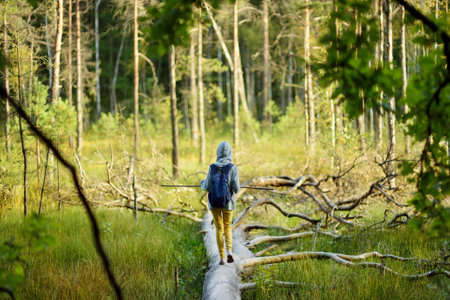 Cute young girl having fun during forest hike on beautiful summer day. Child exploring nature. Active family leisure with kids.の写真素材