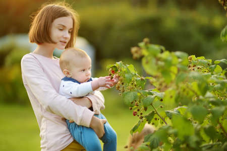 Cute big sister holding her baby brother. Pretty teenage girl picking fresh berries on organic raspberry farm on warm and sunny summer day. Child harvesting in a garden.の写真素材