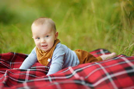 Cute five months old baby boy on his hands and knees on a blanket in a park on sunny summer day. Infant having fun outdoors. Adorable little child learning to crawl.の写真素材