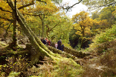 MATTERDALE, UK - OCTOBER 22, 2019: Tourists crowding on stone bridge enjoying famous Aira Force...