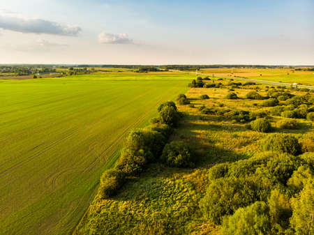 Beautiful aerial forest scene in summer. Green trees and fields on sunny summer day. City park scenery in Vilnius, Lithuania.の写真素材