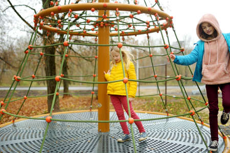 Two adorable young girls having fun on a playground together in beautiful autumn park. Cute sisters...