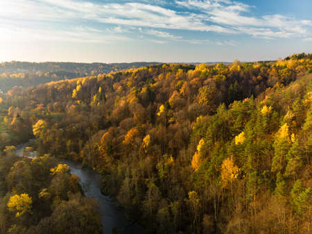 Aerial view of autumn forest with green and yellow trees. Mixed deciduous and coniferous forest. Beautiful fall scenery near Vilnius city, Lithuaniaの写真素材