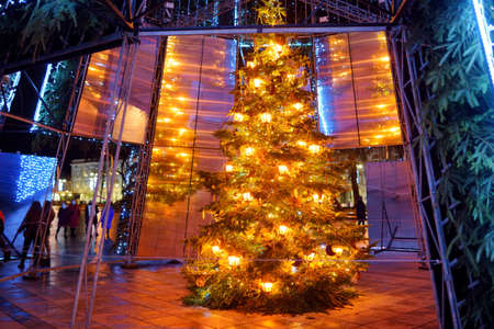 VILNIUS, LITHUANIA - DECEMBER 2020: Beautiful Christmas tree on the Cathedral square, in Vilnius, Lithuania.のeditorial素材