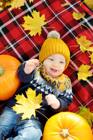 Cute small baby boy laying on a plaid blanket near small colourful pumpkins on sunny autumn day. Family time at Thanksgiving. Festive season in October.の写真素材
