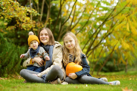 Two cute young girls and their baby brother holding a small pumpkin on sunny autumn day. Kids trick or treating on Halloween. Family time at Halloween.の写真素材