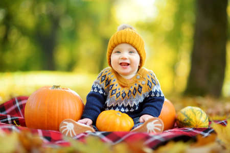 Cute small baby boy sitting near small colourful pumpkins on sunny autumn day. Family time at Thanksgiving. Festive season in October.の写真素材