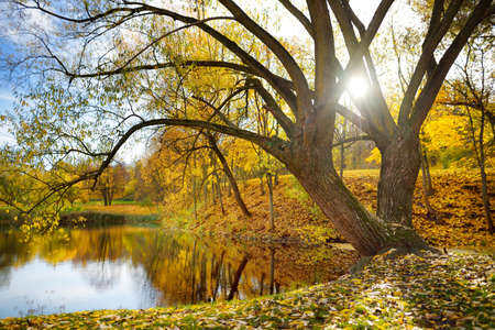 Colorful city park scene in the fall with orange and yellow foliage. Beautiful autumn scenery in Vilnius, Lithuaniaの写真素材