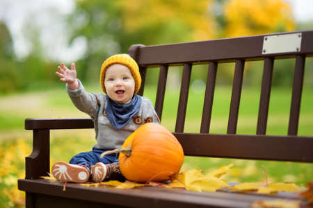 Cute small baby boy sitting near small colourful pumpkin on sunny autumn day. Family time at Thanksgiving. Festive season in October.の写真素材