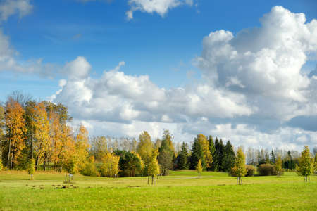 Colorful city park scene in the fall with orange and yellow foliage. Beautiful autumn scenery in Vilnius, Lithuaniaの写真素材