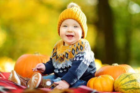 Cute small baby boy sitting near small colourful pumpkins on sunny autumn day. Family time at Thanksgiving. Festive season in October.の写真素材