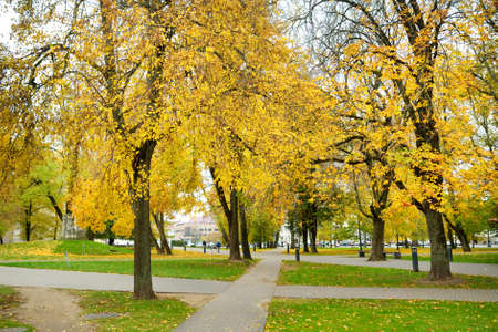 Colorful city park scene in the fall with orange and yellow foliage. Beautiful autumn scenery in Vilnius, Lithuaniaの写真素材