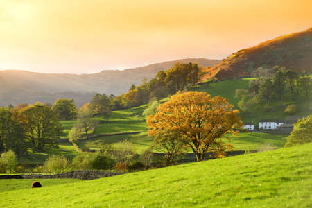 Endless lush pastures and farmlands of England. Beautiful English countryside with emerald green fields and meadows. Rural landscape on sunset.の写真素材