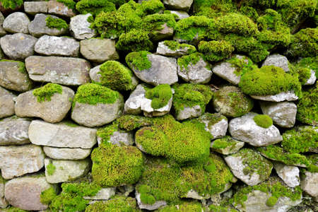 Green moss covering limestone fence in the Lake District, famous for its glacial ribbon lakes and rugged mountains. Popular vacation destination in Cumbria, North West England.の写真素材