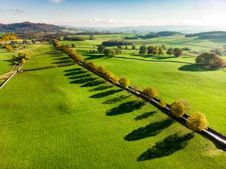 Aerial view of endless lush pastures and farmlands of England. Beautiful English countryside with...