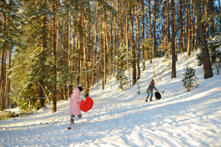 Two funny young girls having fun with a sleigh in beautiful winter park. Cute children playing in a snow. Winter activities for kids.の写真素材